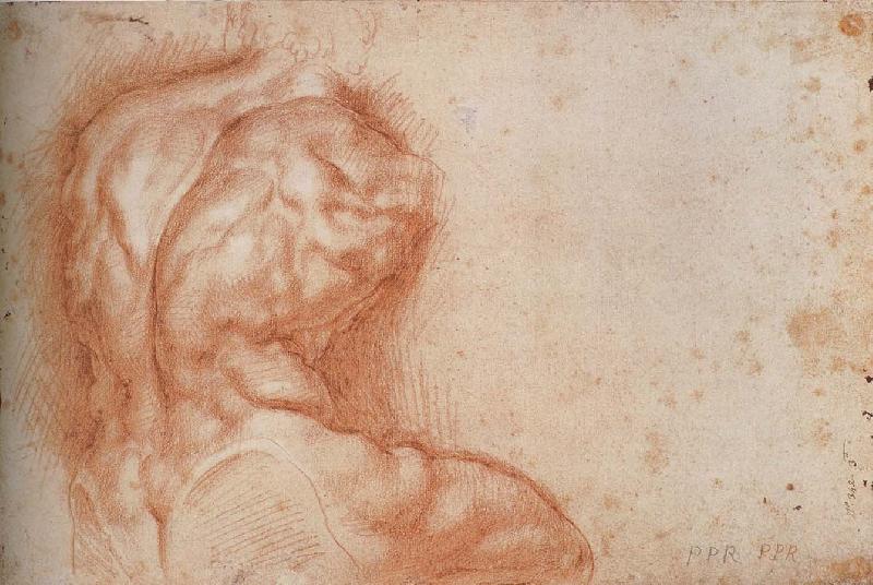 Peter Paul Rubens Facsimile form Torso belvedere Sweden oil painting art